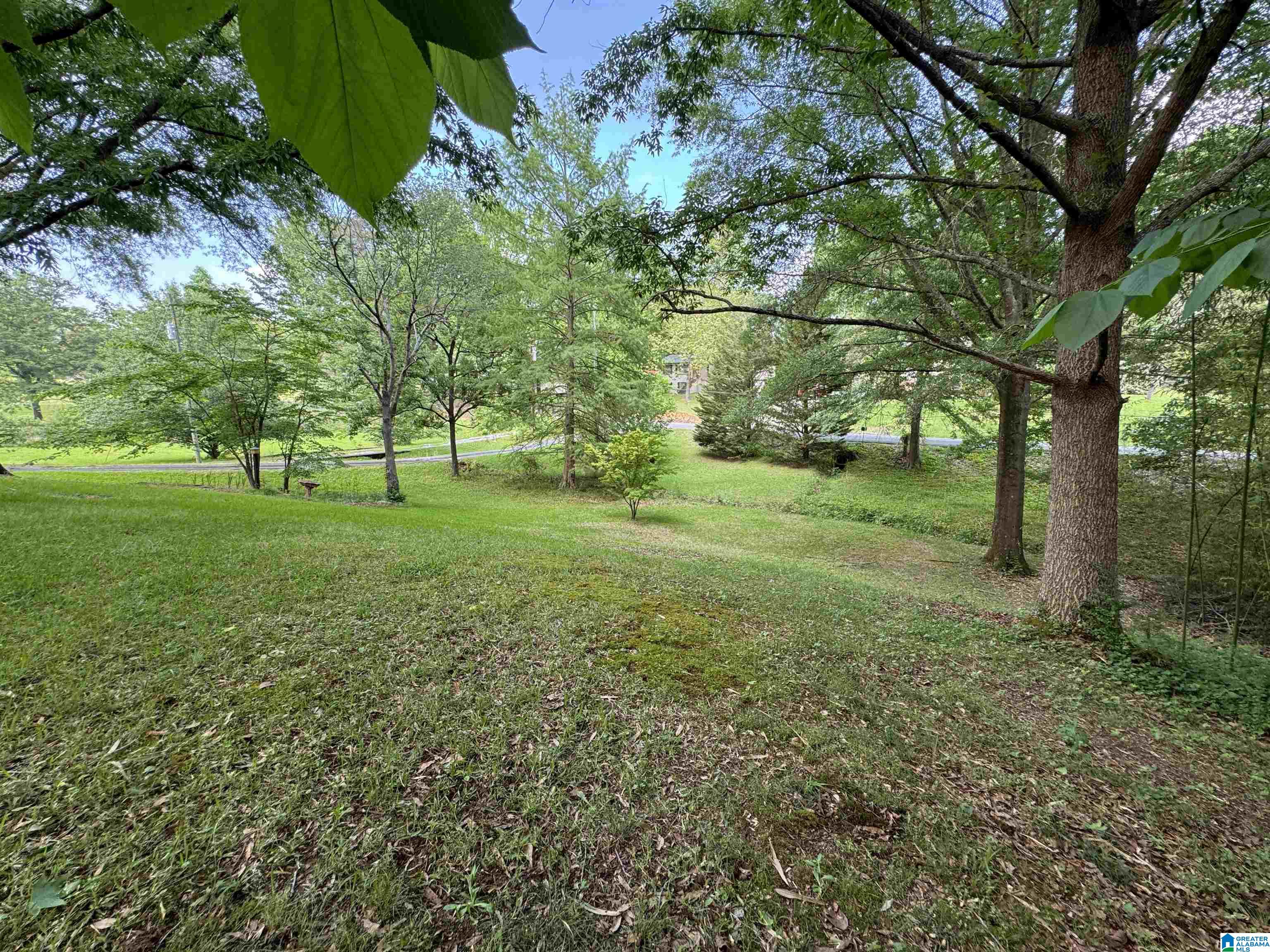 3026 Woodruff Mill Road Adamsville, AL 35005 - Photo 71 of 73