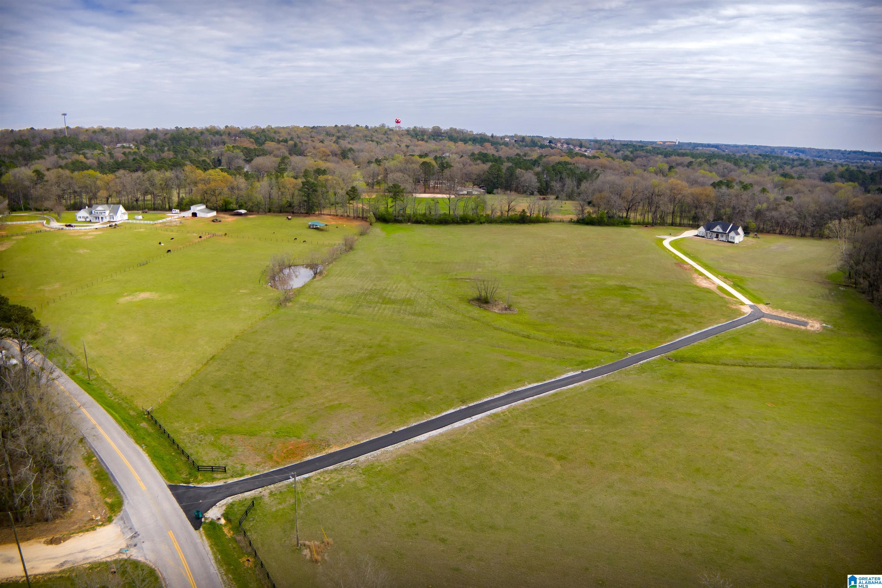 850 County Road 24, Unit 1B Montevallo, AL 35115 - Photo 6 of 24