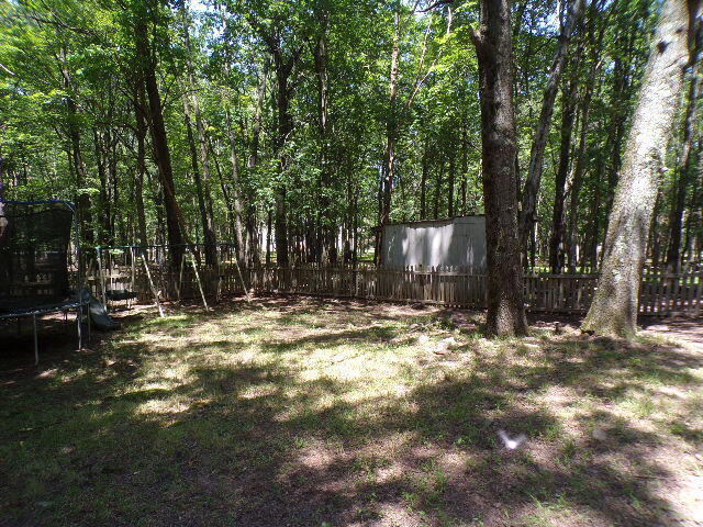 101 Mohawk Trail Albrightsville, PA 18210 - Photo 5 of 16 a view of outdoor space with trees