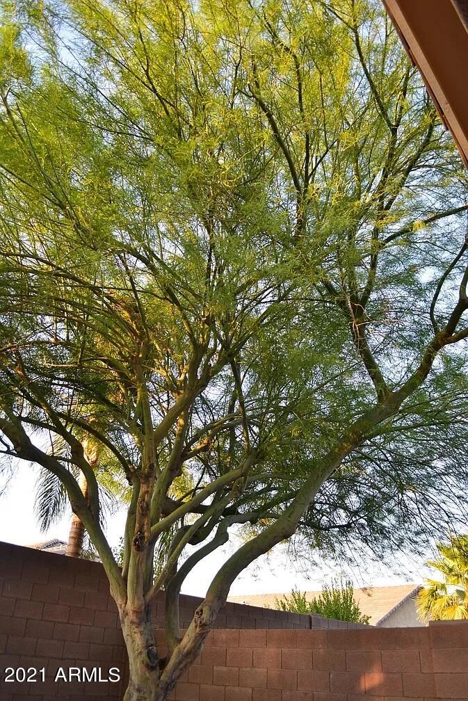 16950 West Nottingham Way Surprise, AZ 85374 - Photo 24 of 28 IMG_1052