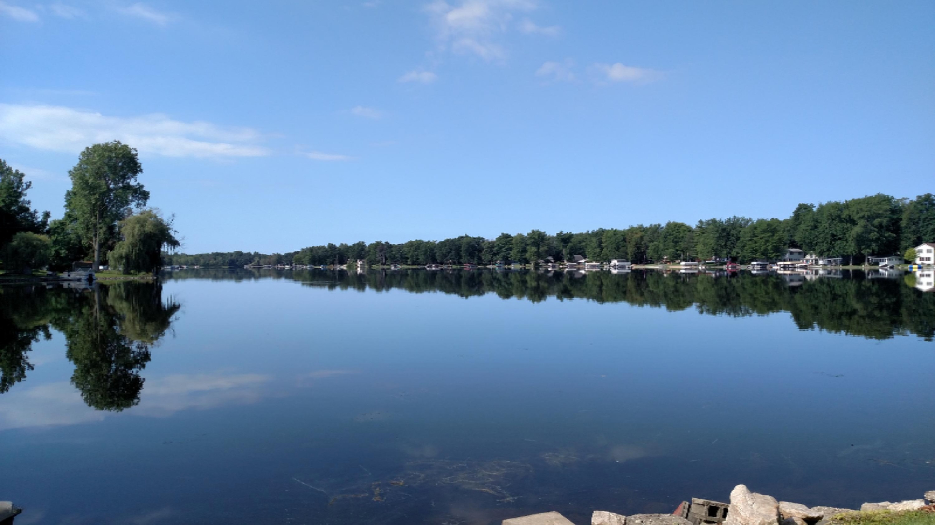 821 Fisher Road Quincy, MI 49082 - Photo 3 of 18 Fisher lake vies