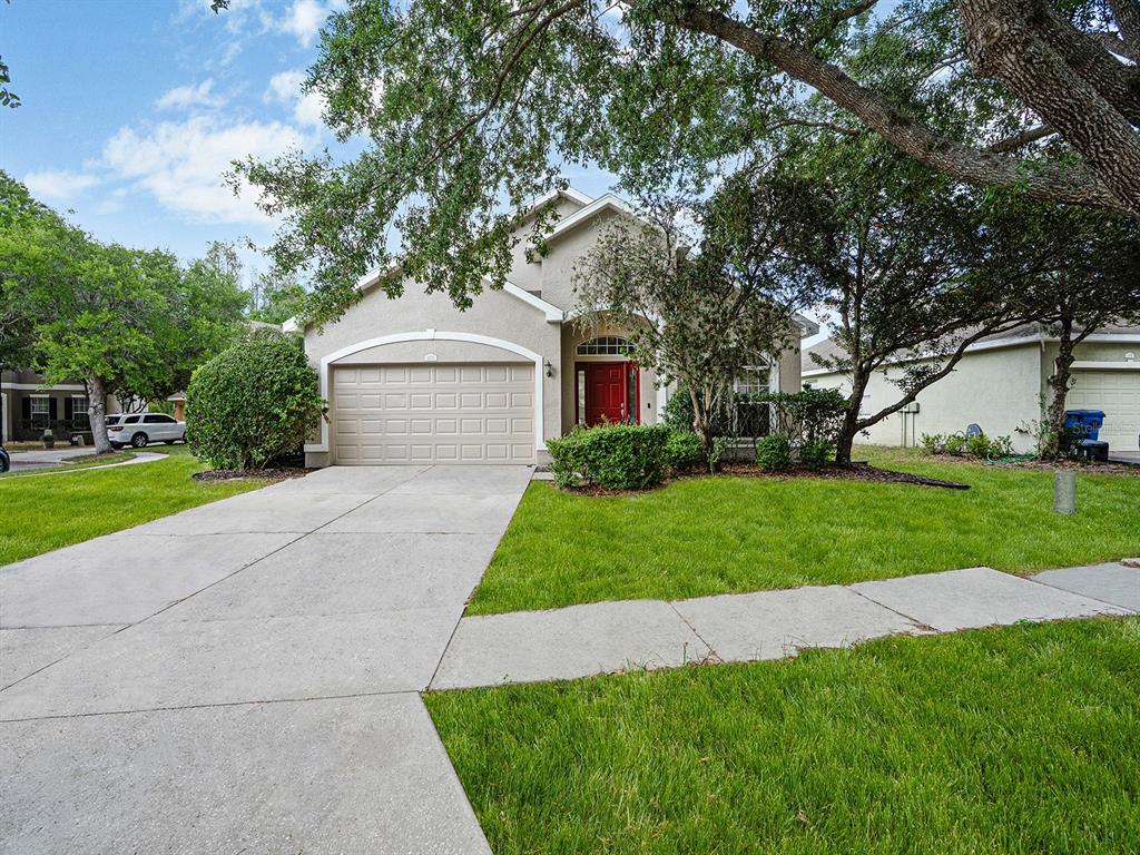 11713 Colony Lakes Boulevard New Port Richey, FL 34654 - Photo 3 of 38 a front view of a house with a garden and trees
