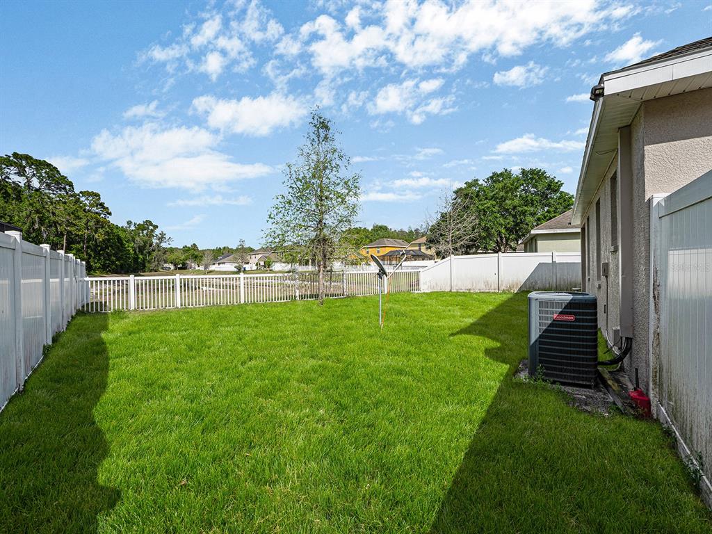 11713 Colony Lakes Boulevard New Port Richey, FL 34654 - Photo 32 of 38 a view of yard with green space