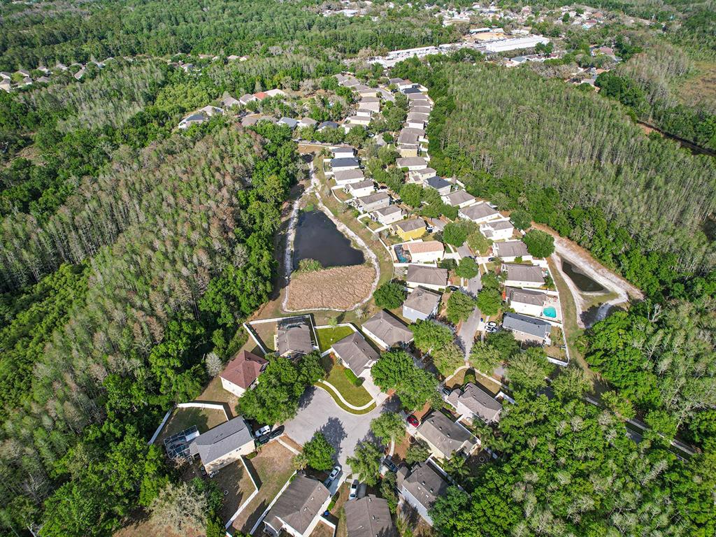 11713 Colony Lakes Boulevard New Port Richey, FL 34654 - Photo 38 of 38 an aerial view of residential houses with outdoor space