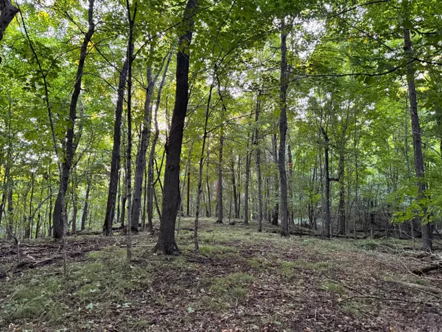 $128,000 | Lot 3-tbd Northeast Rock Lake Road, Rochert, MN 56578