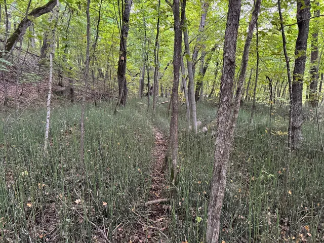 $128,000 | Lot 3-tbd Northeast Rock Lake Road, Rochert, MN 56578