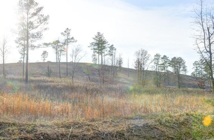Lot 4 White Flats Road Dayton, TN 37321 - Photo 5 of 17 white flats 3