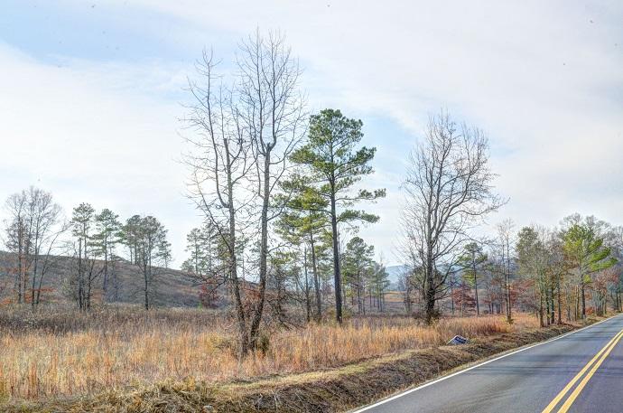 Lot 4 White Flats Road Dayton, TN 37321 - Photo 6 of 17 white flats 4