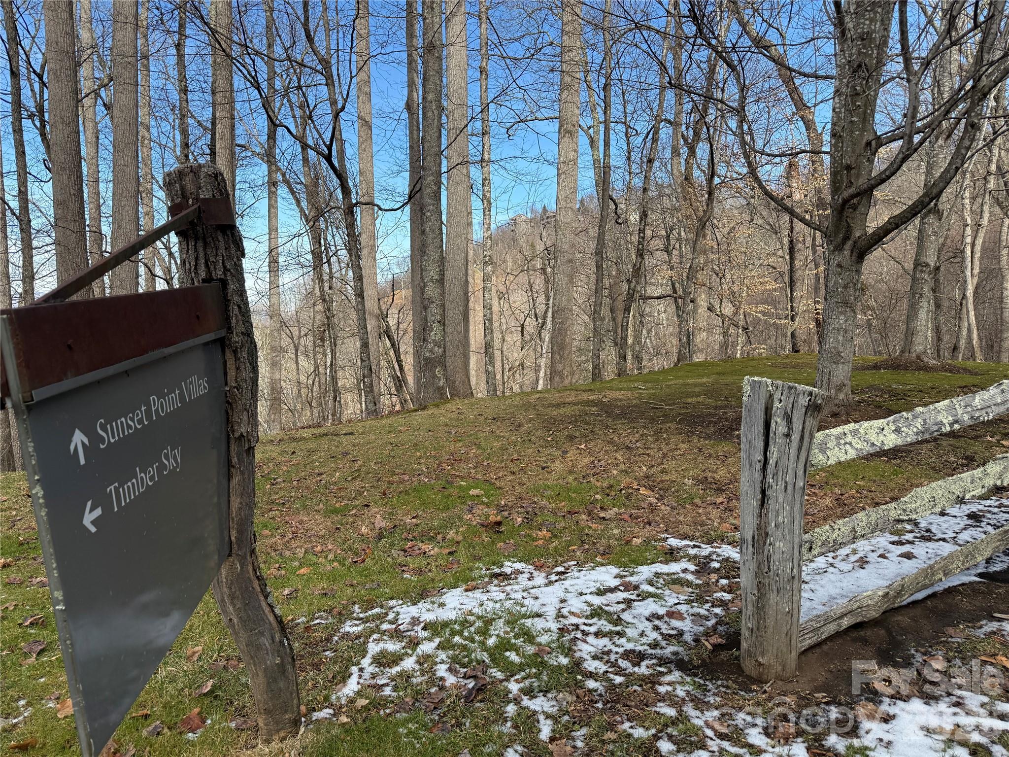 Lot 1 Sunset Point Road, Unit 1/5 Burnsville, NC 28714 - Photo 3 of 5 a view of a yard with trees