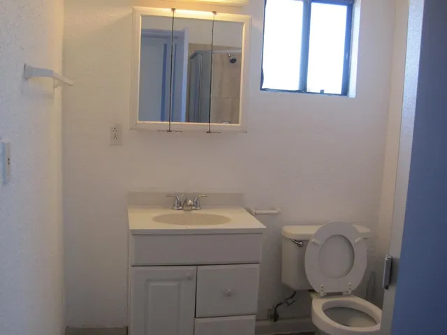 a bathroom with a sink toilet and mirror