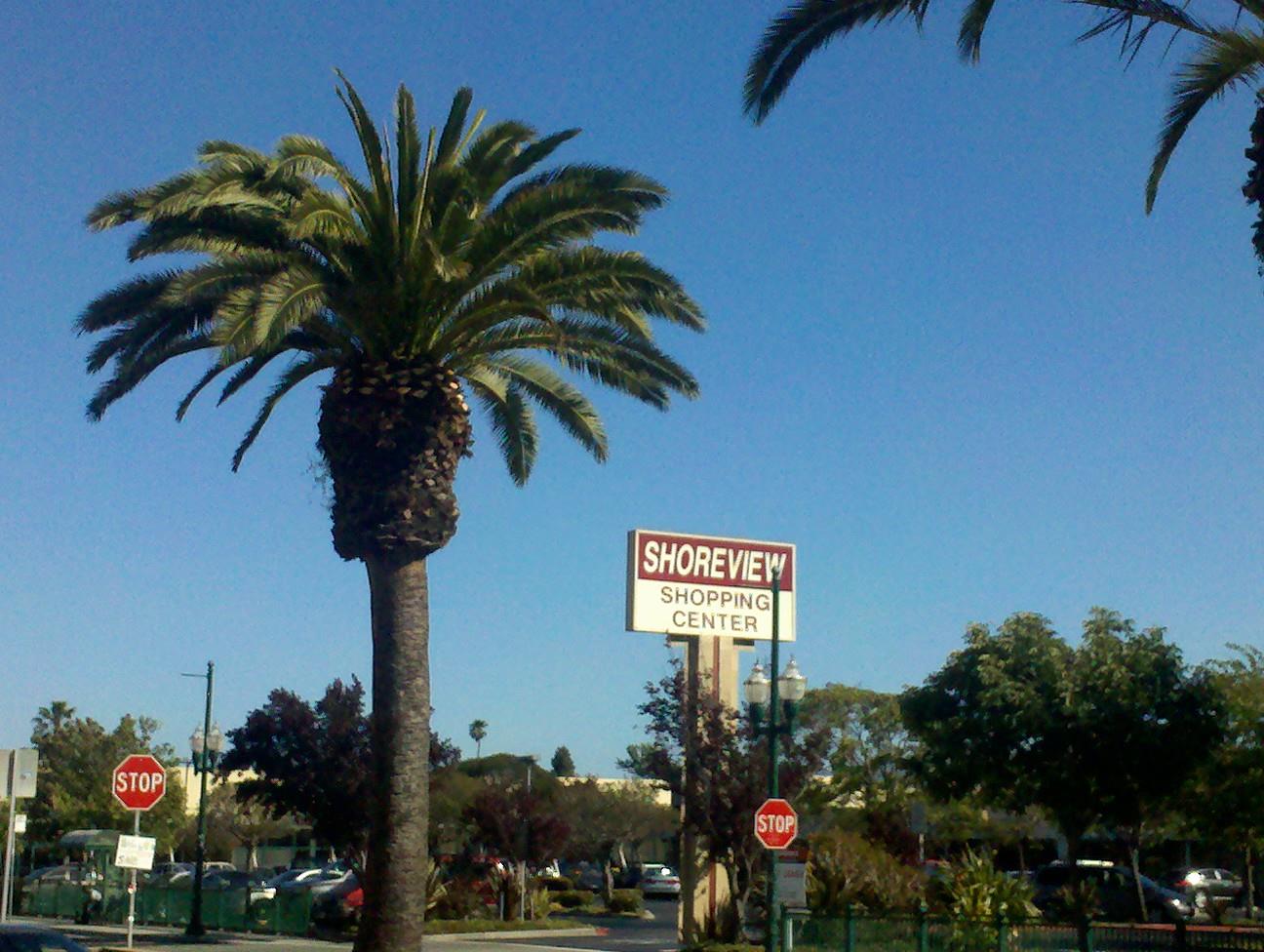 1225 Beacon Avenue San Mateo, CA 94401 - Photo 21 of 21 a street sign on a pole on a wall