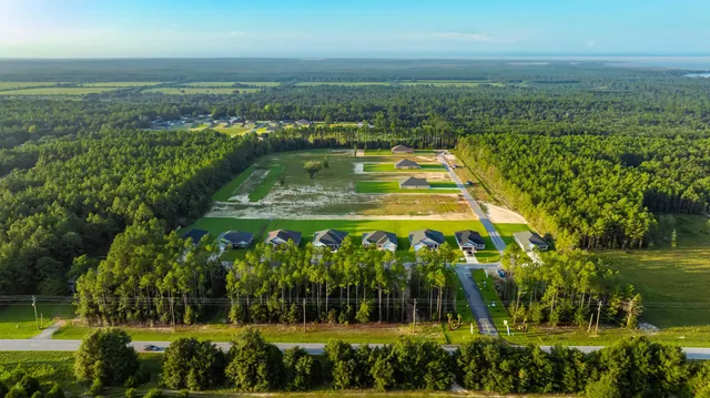 a view of a swimming pool with a garden