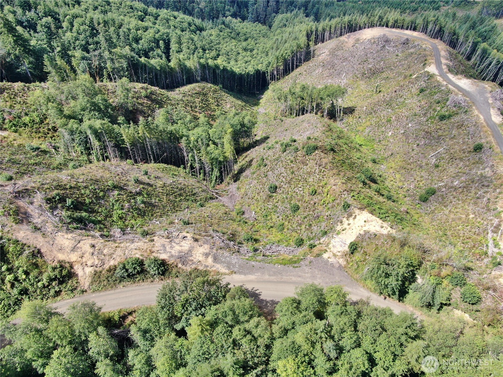 13 Smith Creek Road Cosmopolis, WA 98537 - Photo 3 of 14 Gallery Image 3