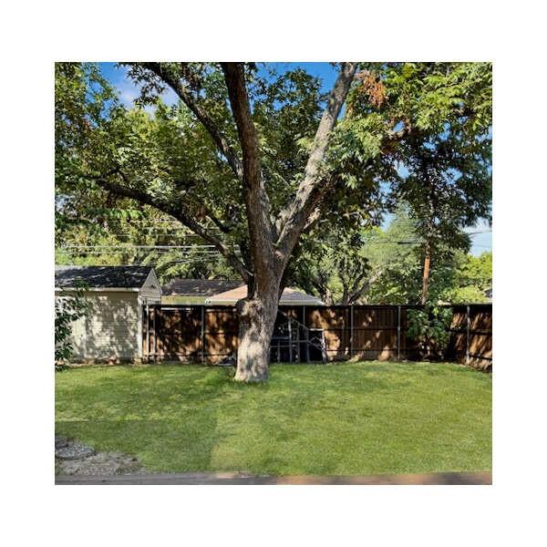 6171 Ravendale Lane Dallas, TX 75214 - Photo 10 of 10