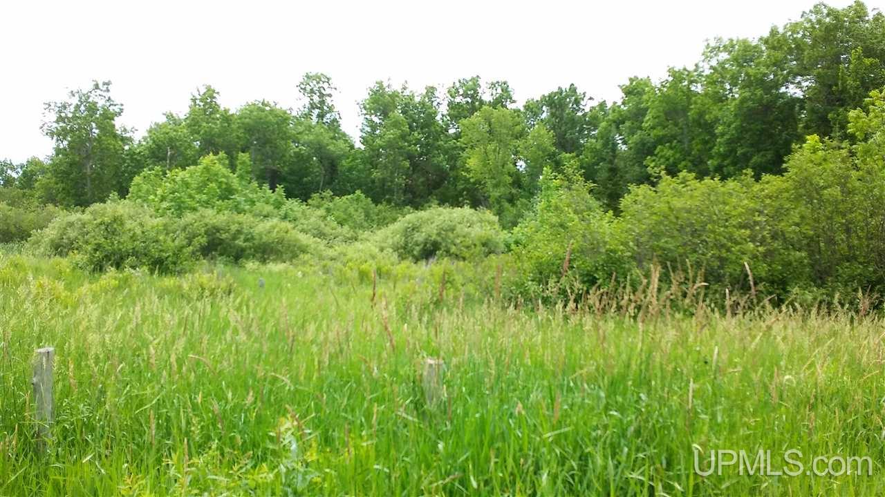 Tbd Coffee Road Iron Belt, WI 54536 - Photo 4 of 4