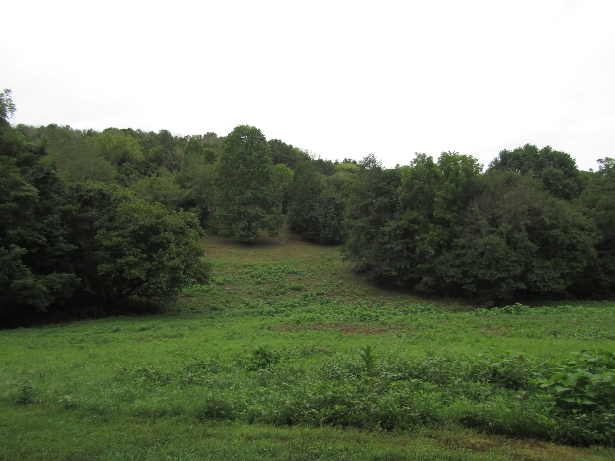 2273 Big Branch Road Granville, TN 38564 - Photo 15 of 31 Gallery Image 15