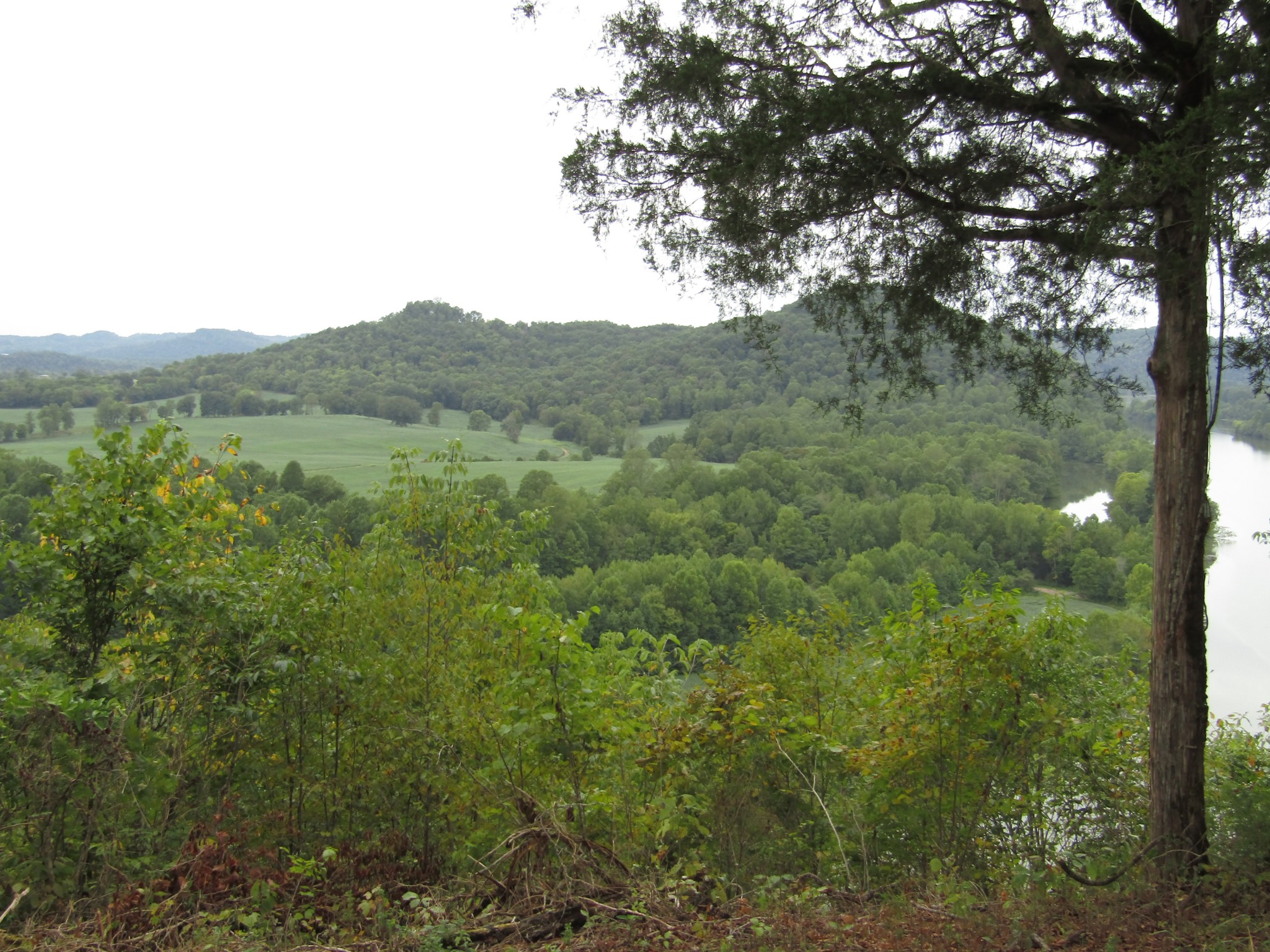 2273 Big Branch Road Granville, TN 38564 - Photo 19 of 31 Gallery Image 19
