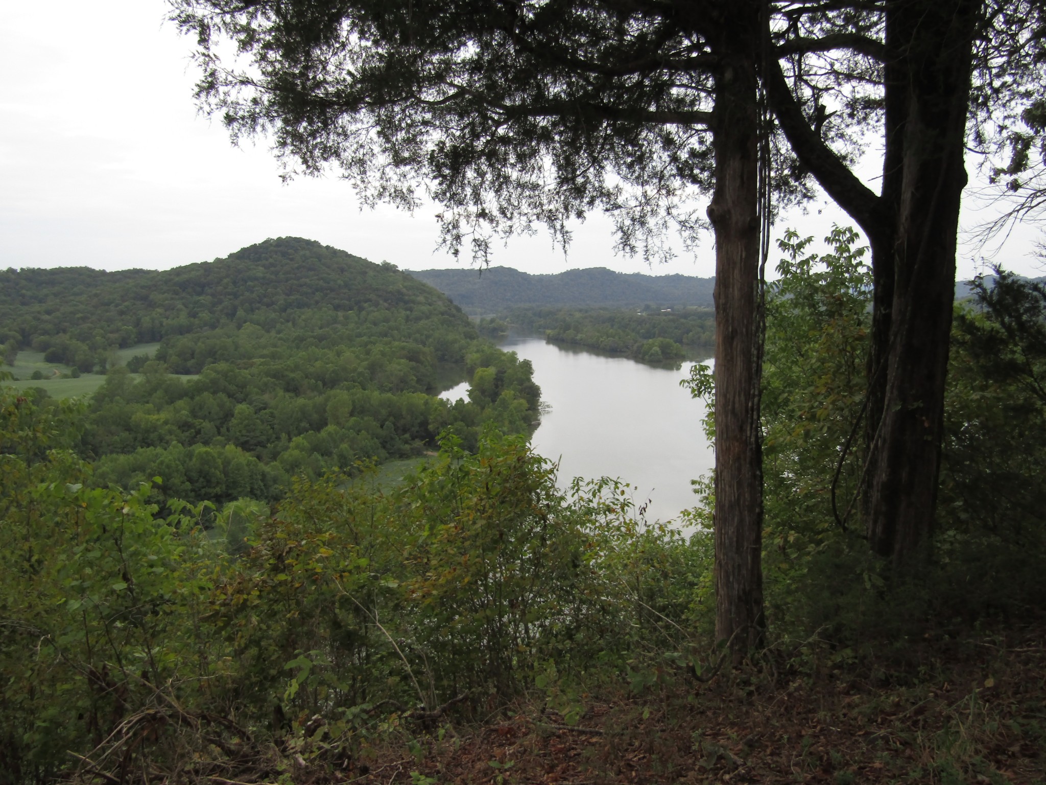 2273 Big Branch Road Granville, TN 38564 - Photo 20 of 31 Gallery Image 20