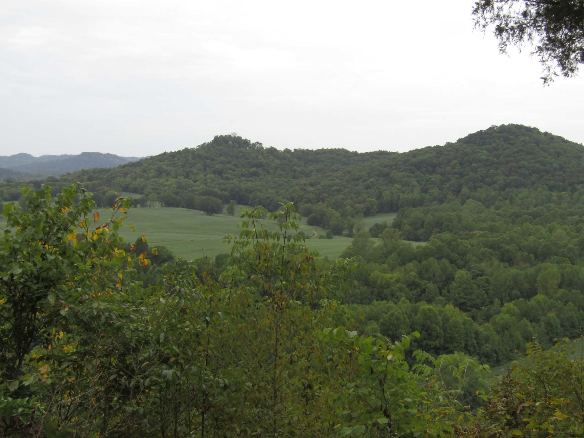 2273 Big Branch Road Granville, TN 38564 - Photo 21 of 31 Gallery Image 21