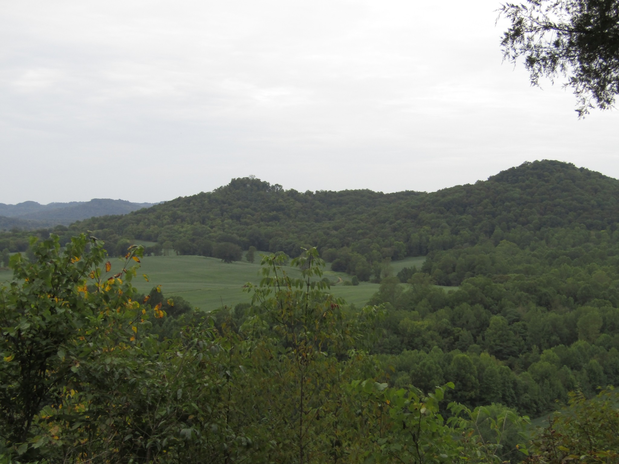 2273 Big Branch Road Granville, TN 38564 - Photo 22 of 31 Gallery Image 22