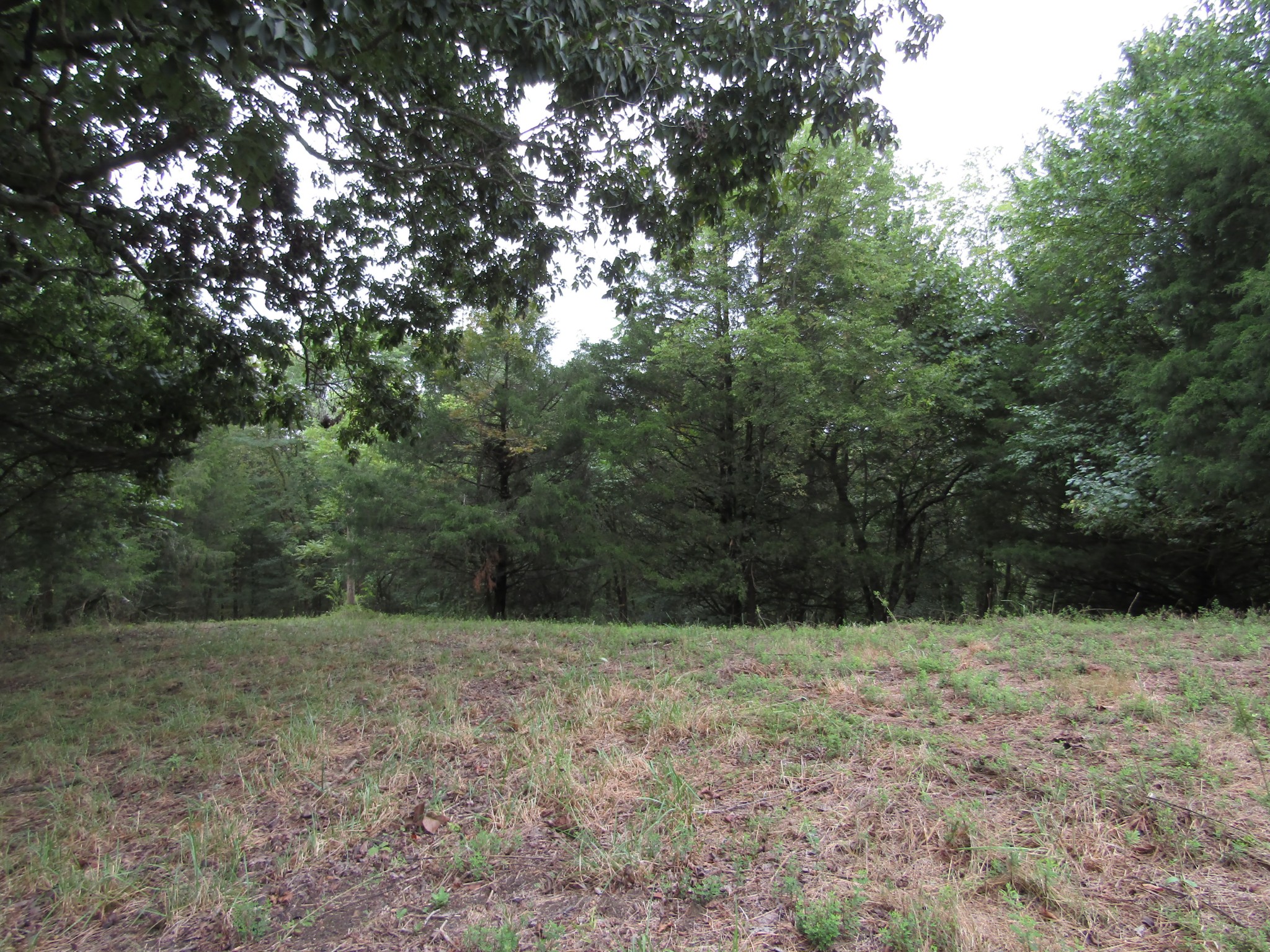 2273 Big Branch Road Granville, TN 38564 - Photo 25 of 31 Gallery Image 25
