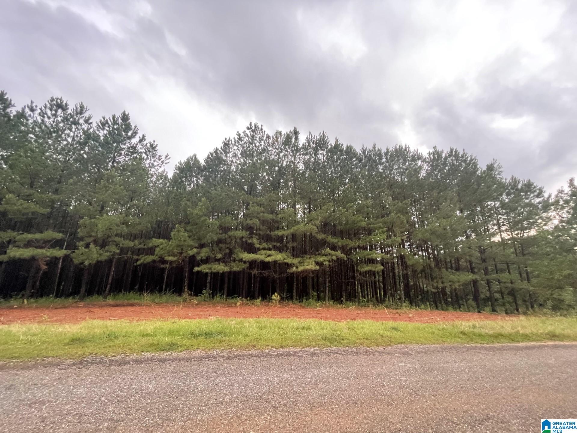 673 County Road, Unit 5 6 Woodland, AL 36280 - Photo 3 of 10