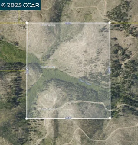 a black and white photo of a picture of