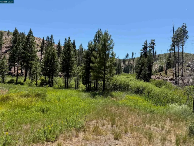 a view of a field with trees in the background