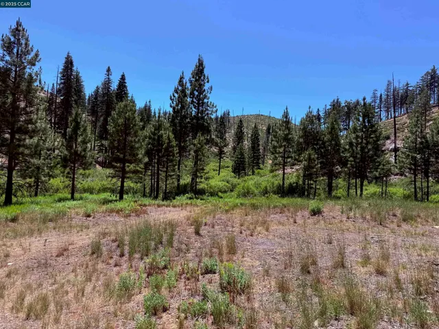 a view of a field with trees in the background