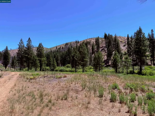 a view of outdoor space with trees all around