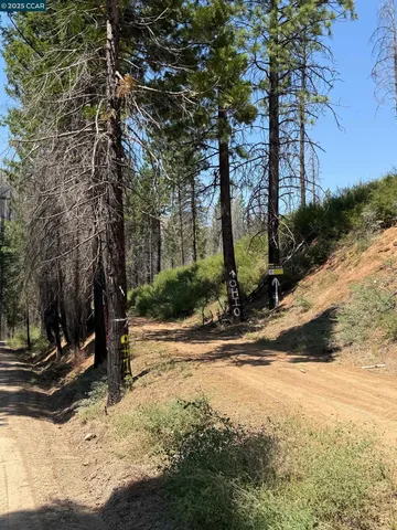 a view of snow on the side of a road