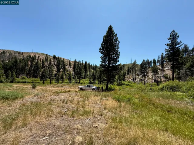 a view of a park with a tree in the background