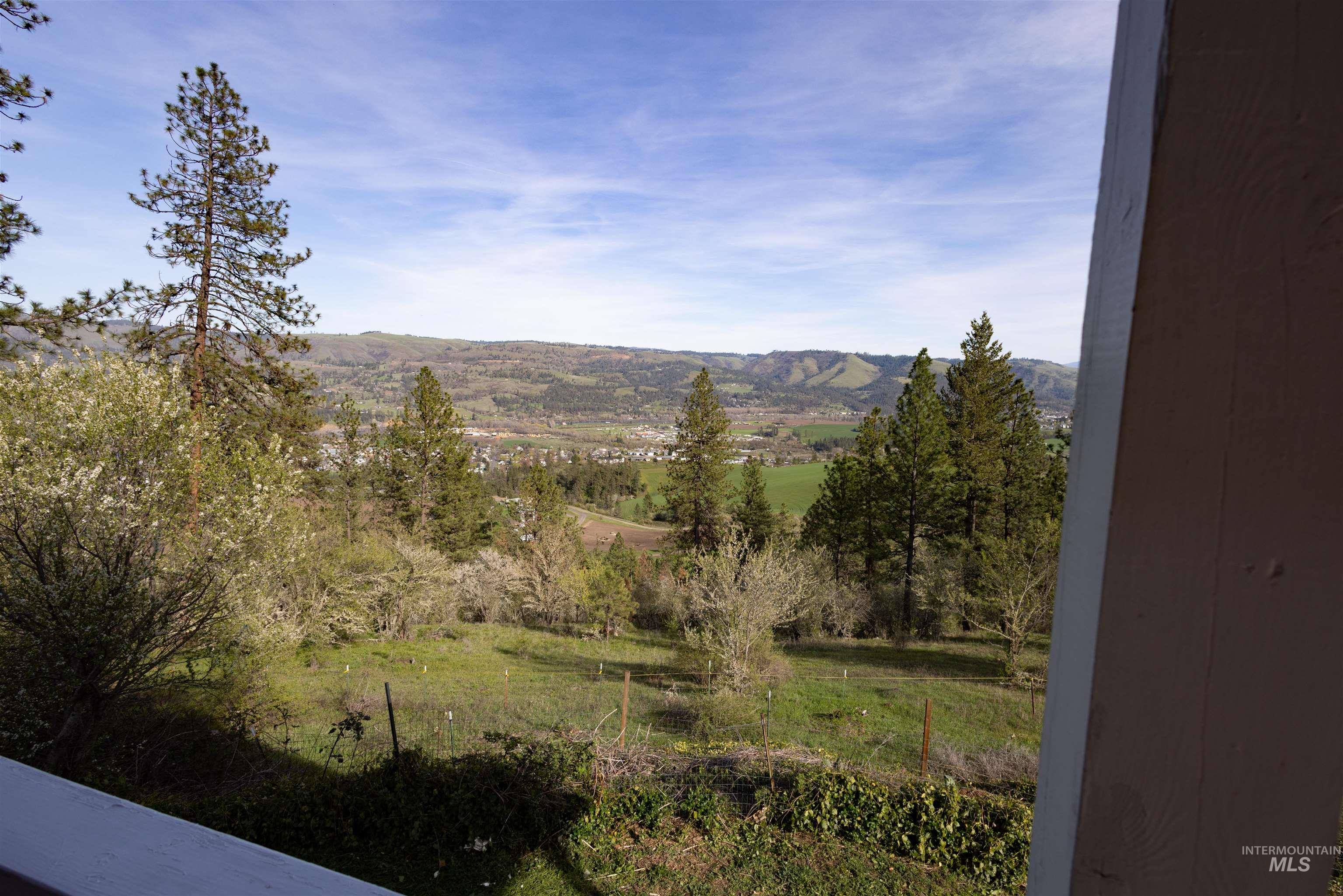 3230 Highway 64 Kamiah, ID 83536 - Photo 17 of 50 View of mountain backdrop