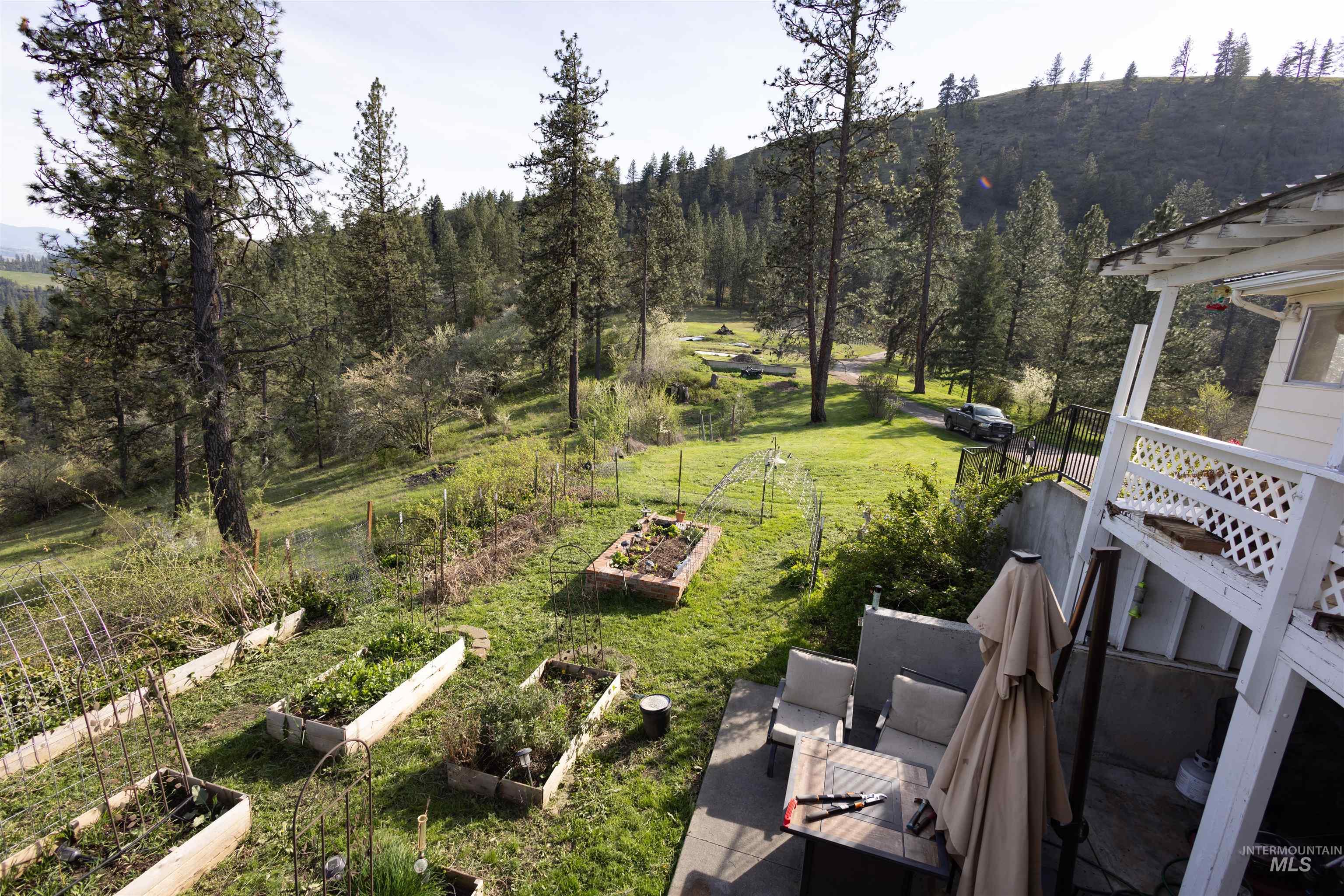 3230 Highway 64 Kamiah, ID 83536 - Photo 18 of 50 View of grassy yard featuring a vegetable garden