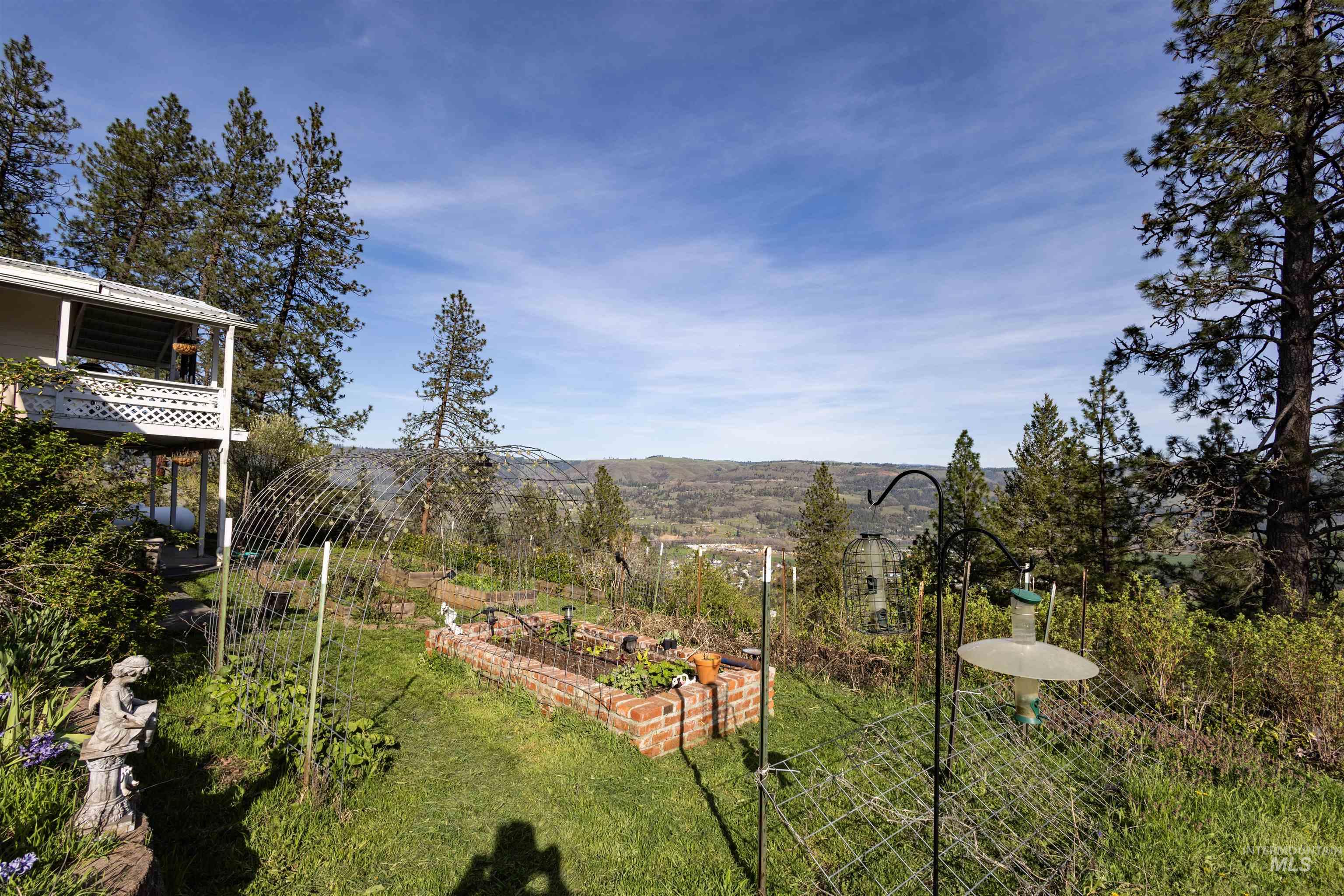 3230 Highway 64 Kamiah, ID 83536 - Photo 22 of 50 View of grassy yard with a garden