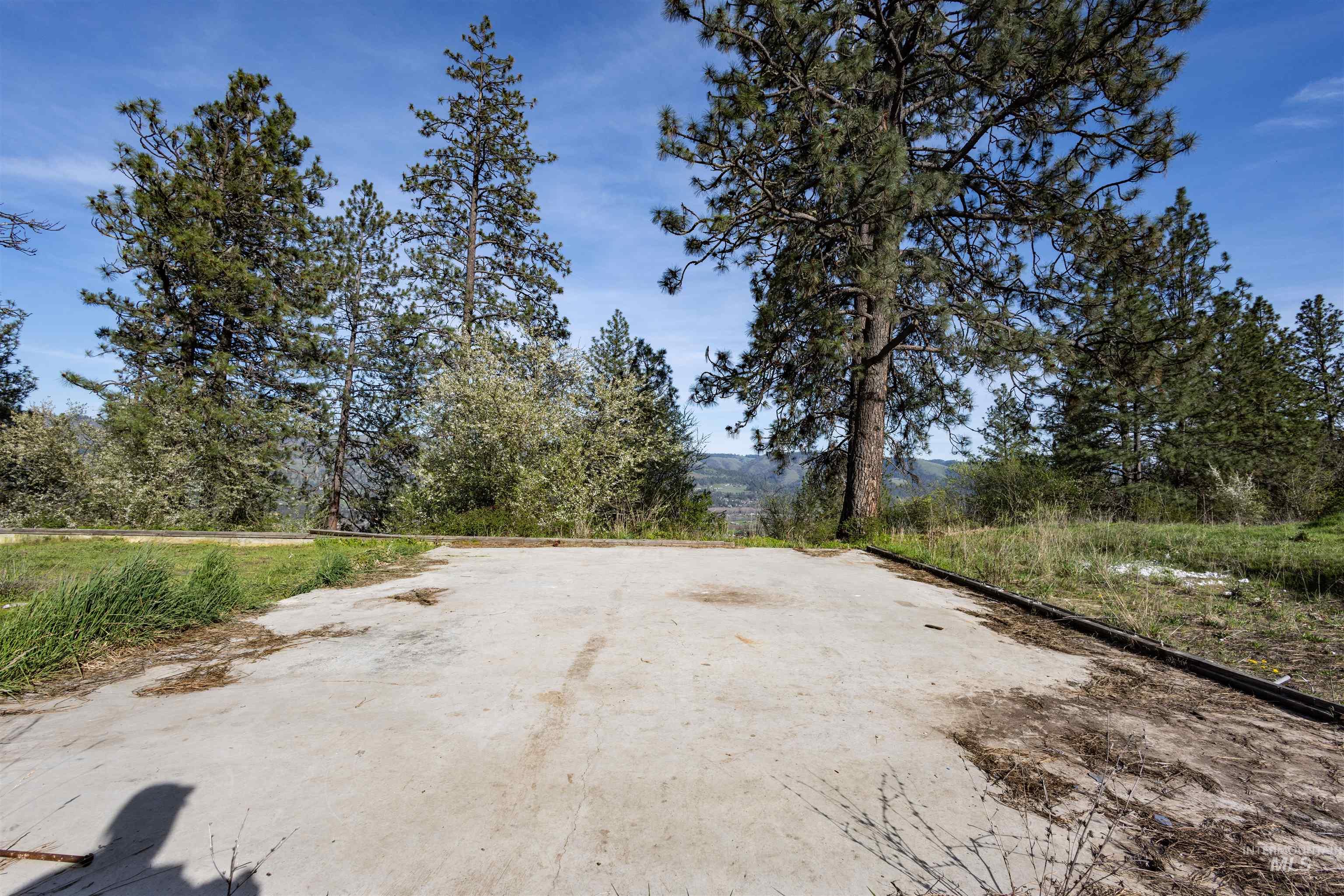 3230 Highway 64 Kamiah, ID 83536 - Photo 23 of 50 View of road