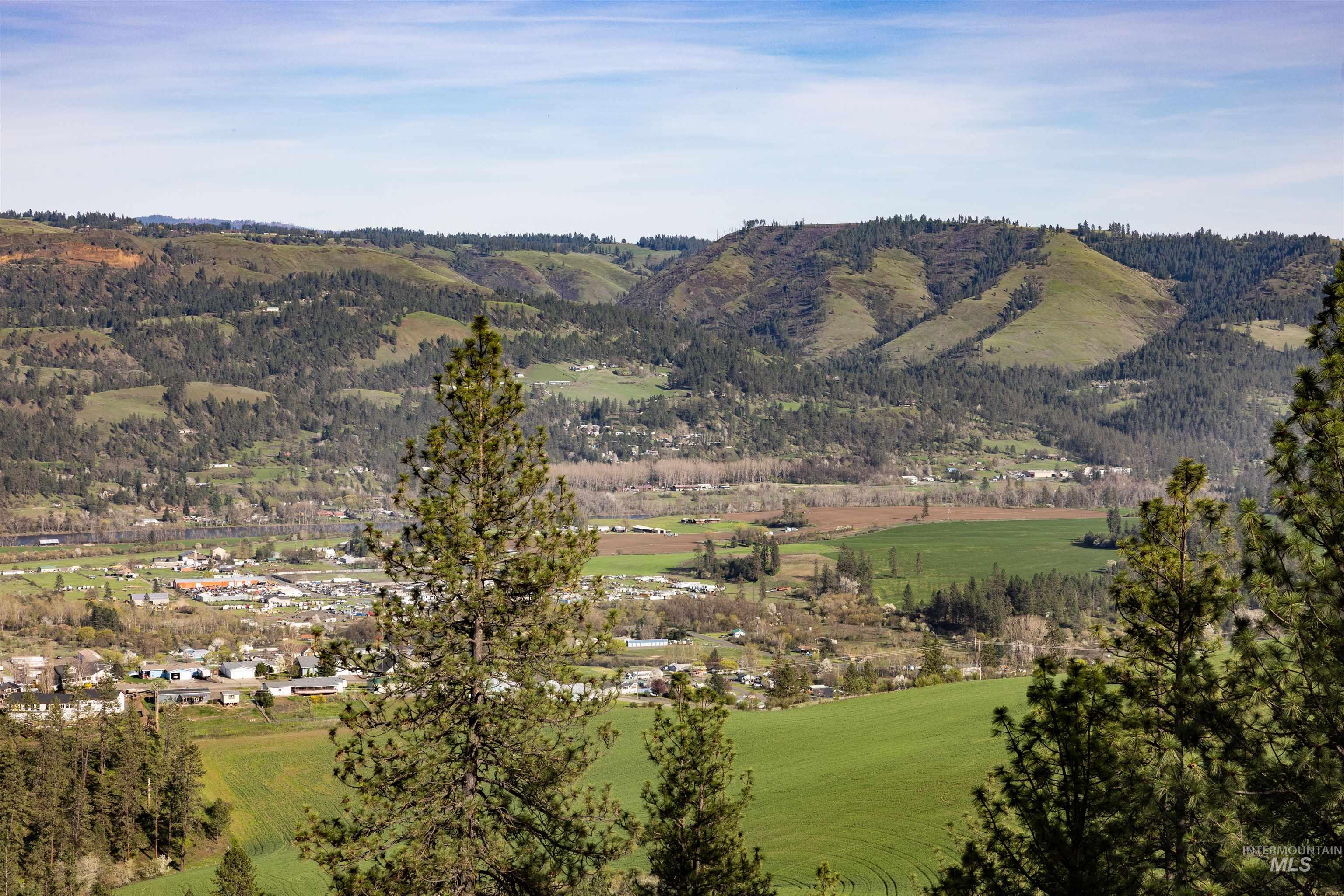 3230 Highway 64 Kamiah, ID 83536 - Photo 26 of 50 View of mountain backdrop