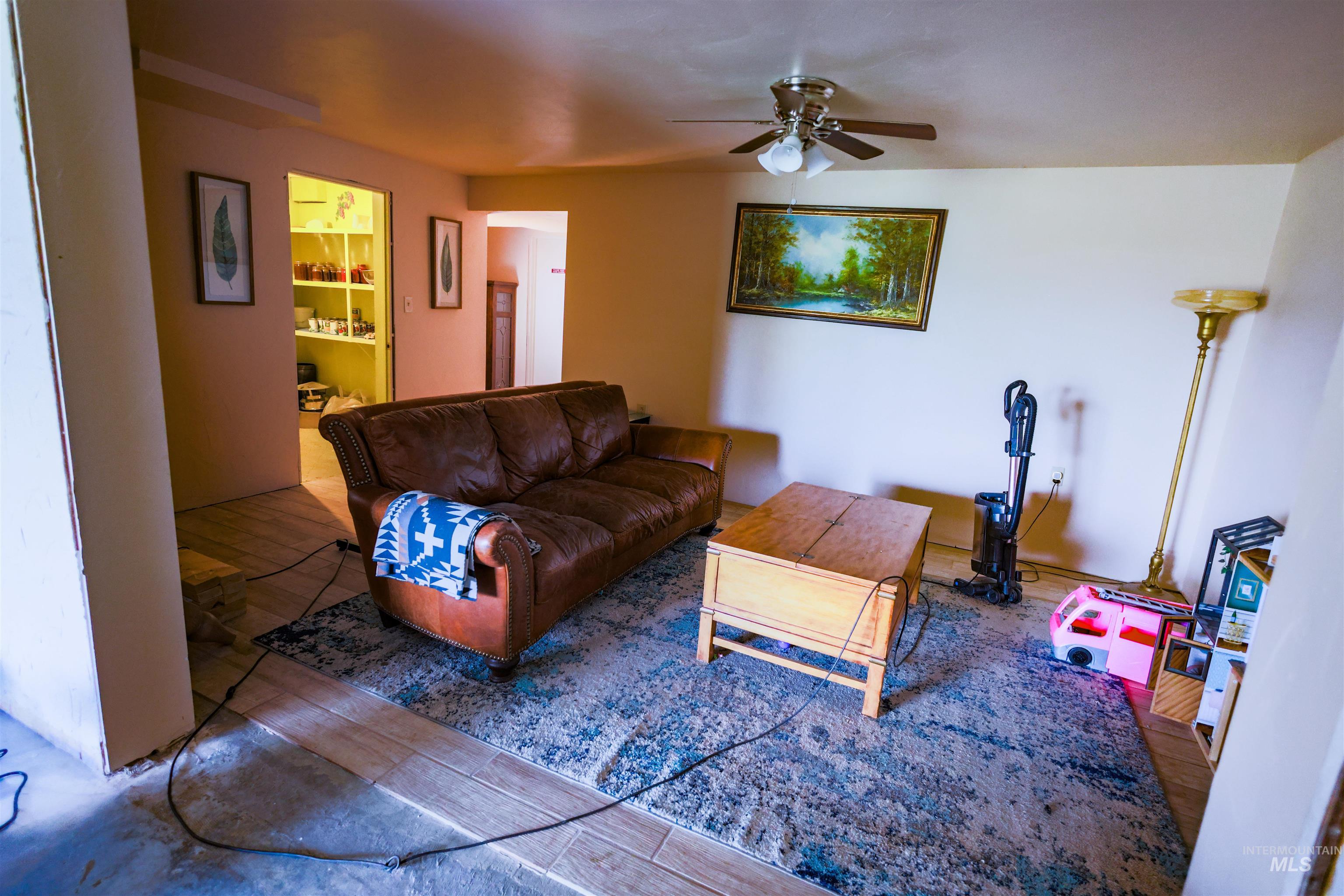 3230 Highway 64 Kamiah, ID 83536 - Photo 48 of 50 Living room with wood finished floors and ceiling fan