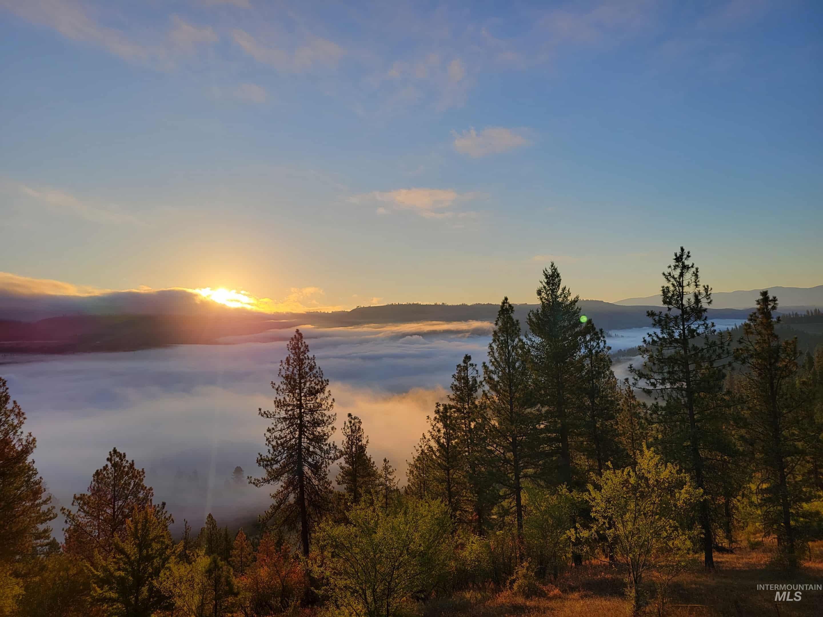 3230 Highway 64 Kamiah, ID 83536 - Photo 6 of 50 Water view