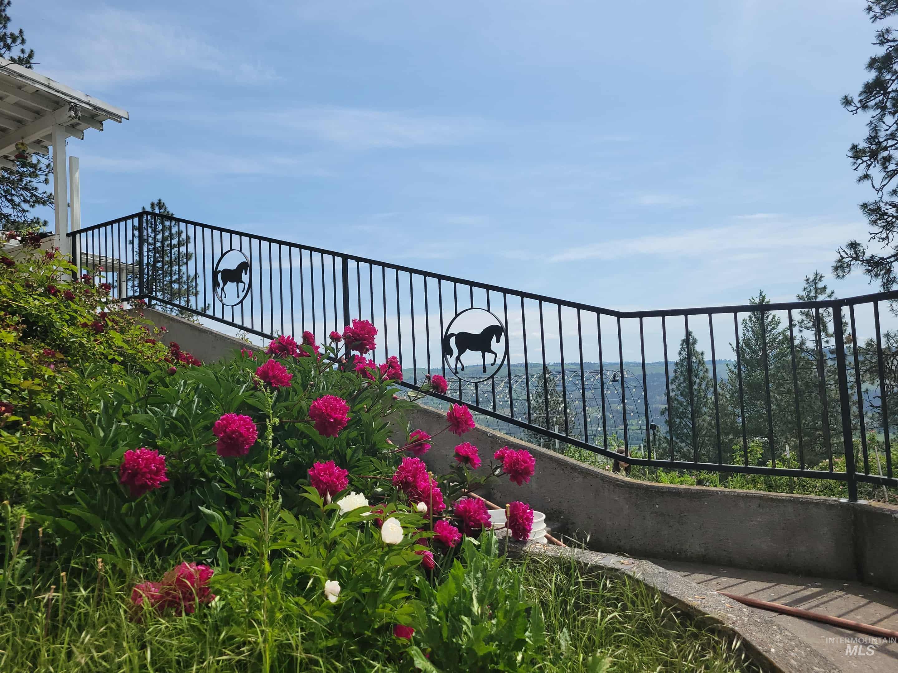 3230 Highway 64 Kamiah, ID 83536 - Photo 9 of 50 View of balcony