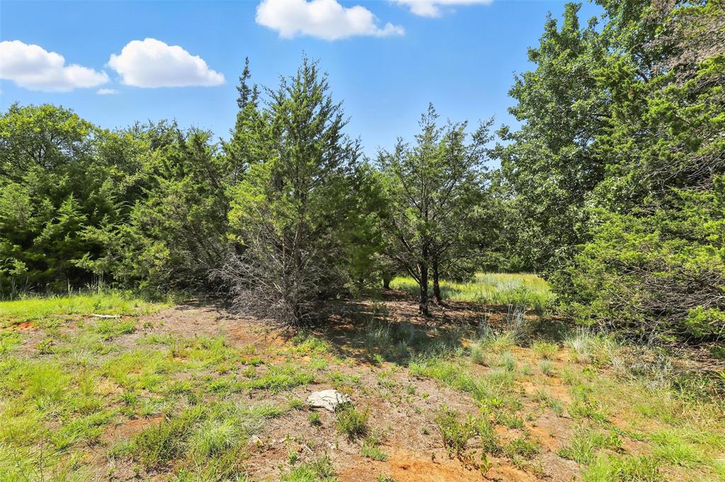 Tbd Tbd Dan Road Alvarado, TX 76009 - Photo 6 of 40