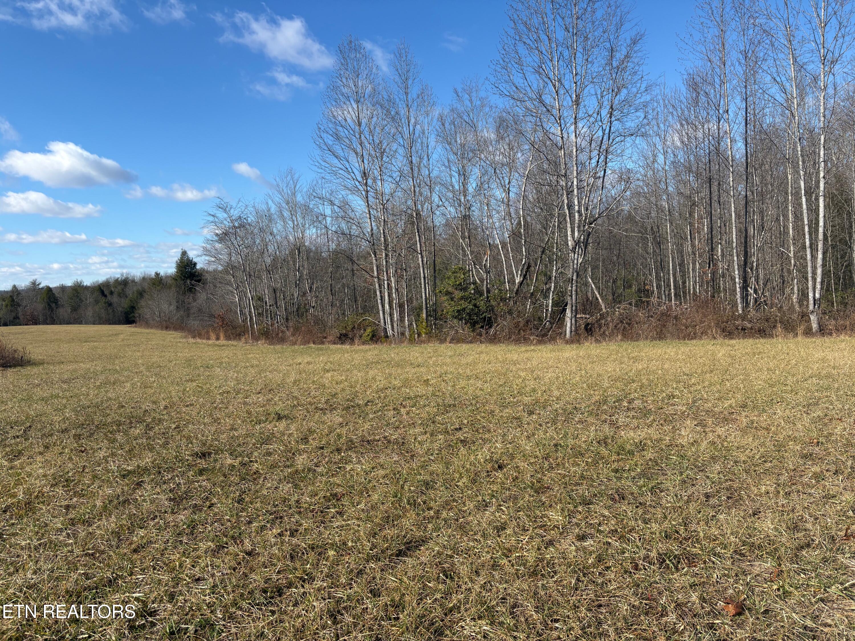 62 Highway Deer Lodge Deer Lodge, TN 37726 - Photo 2 of 3 IMG_3522