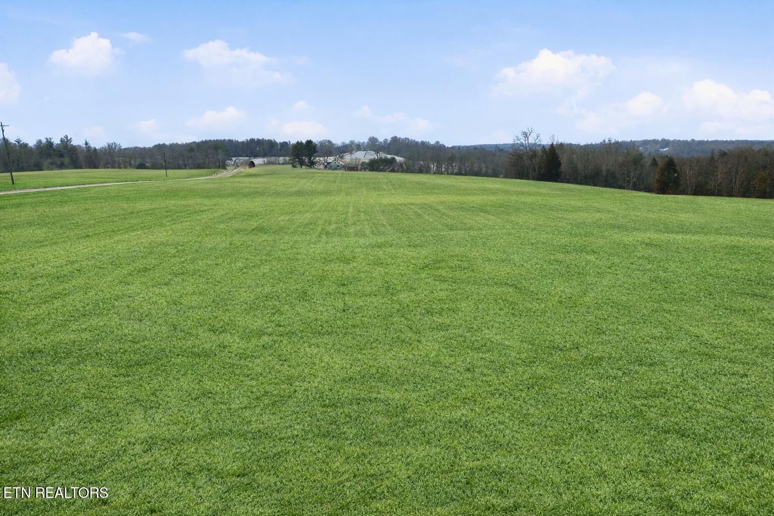 62 Highway Deer Lodge Deer Lodge, TN 37726 - Photo 2 of 13 Ground