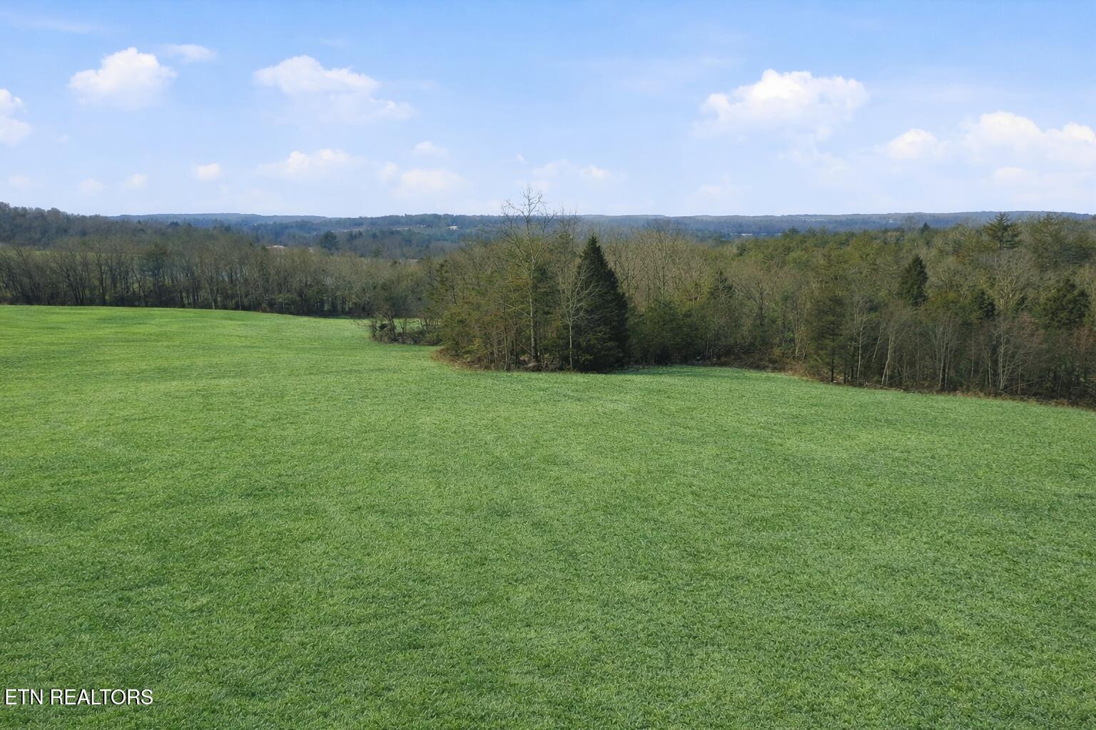 62 Highway Deer Lodge Deer Lodge, TN 37726 - Photo 4 of 13 Ground 2