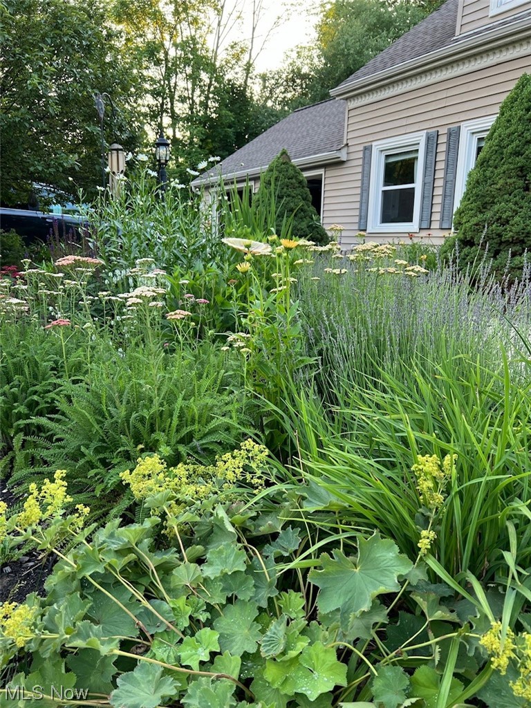 1429 Bell Road Chagrin Falls, OH 44022 - Photo 36 of 42 View of yard