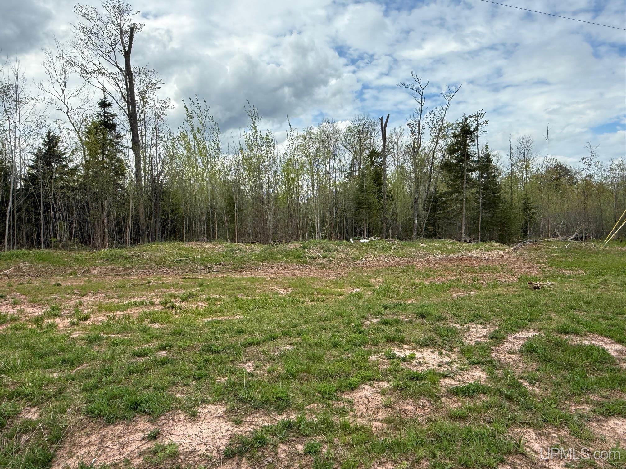 Tbd1948 Victoria Dam Road Rockland, MI 49960 - Photo 10 of 20