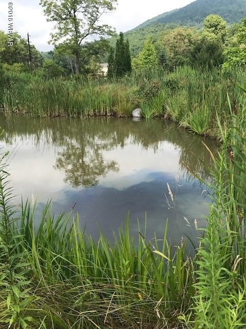 1410 Beaver Road Julian, PA 16844 - Photo 35 of 39 Pond