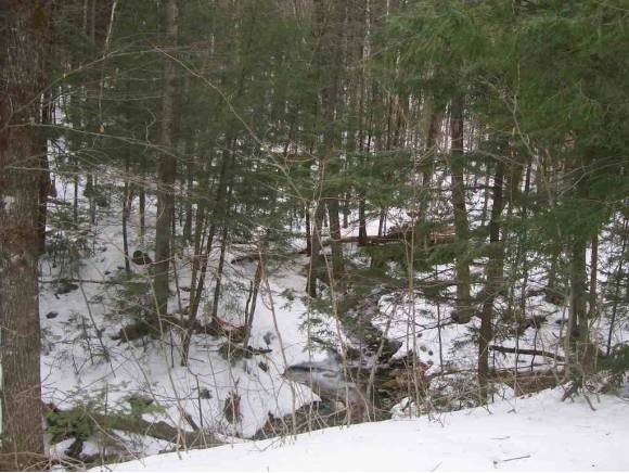 Whites Hill Road Dover, VT 05341 - Photo 1 of 1