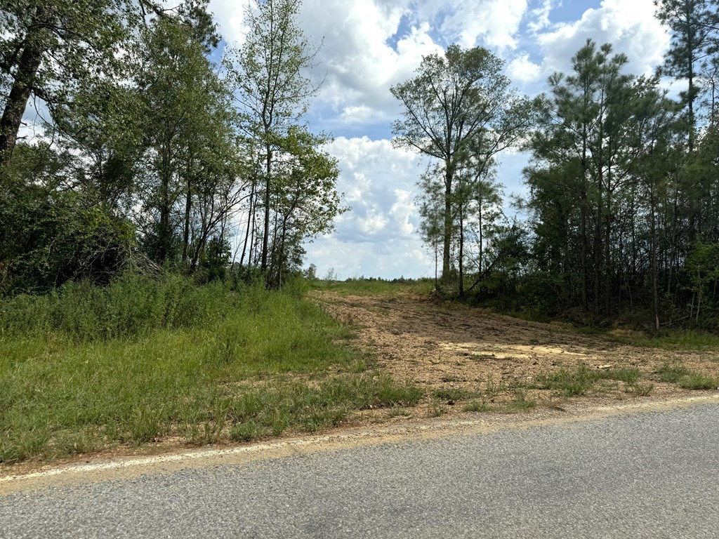 0 Busy Corner Road Gloster, MS 39638 - Photo 9 of 24 Photo 9