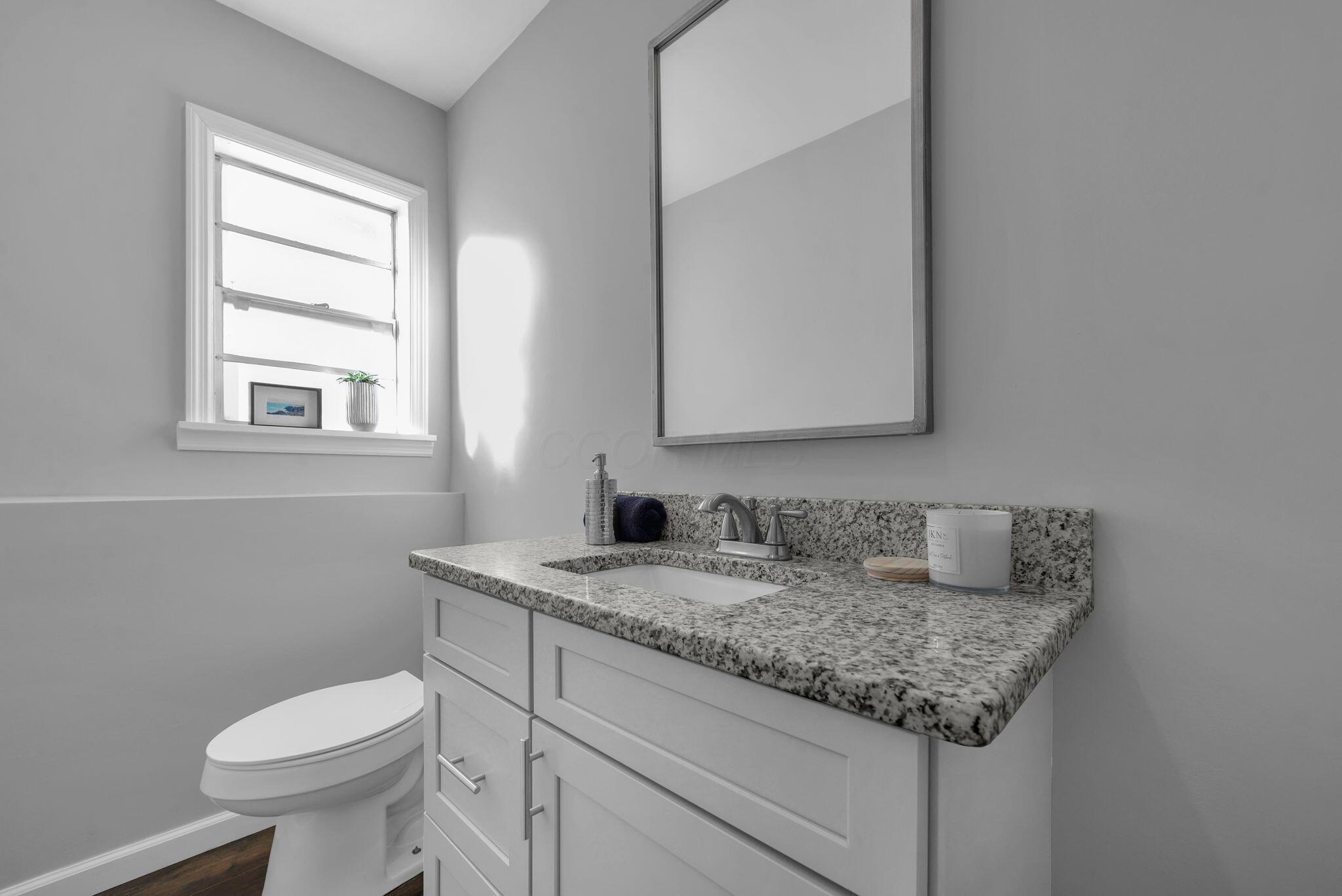 905 Caniff Road Columbus, OH 43221 - Photo 20 of 33 Lower level 1/2 bath